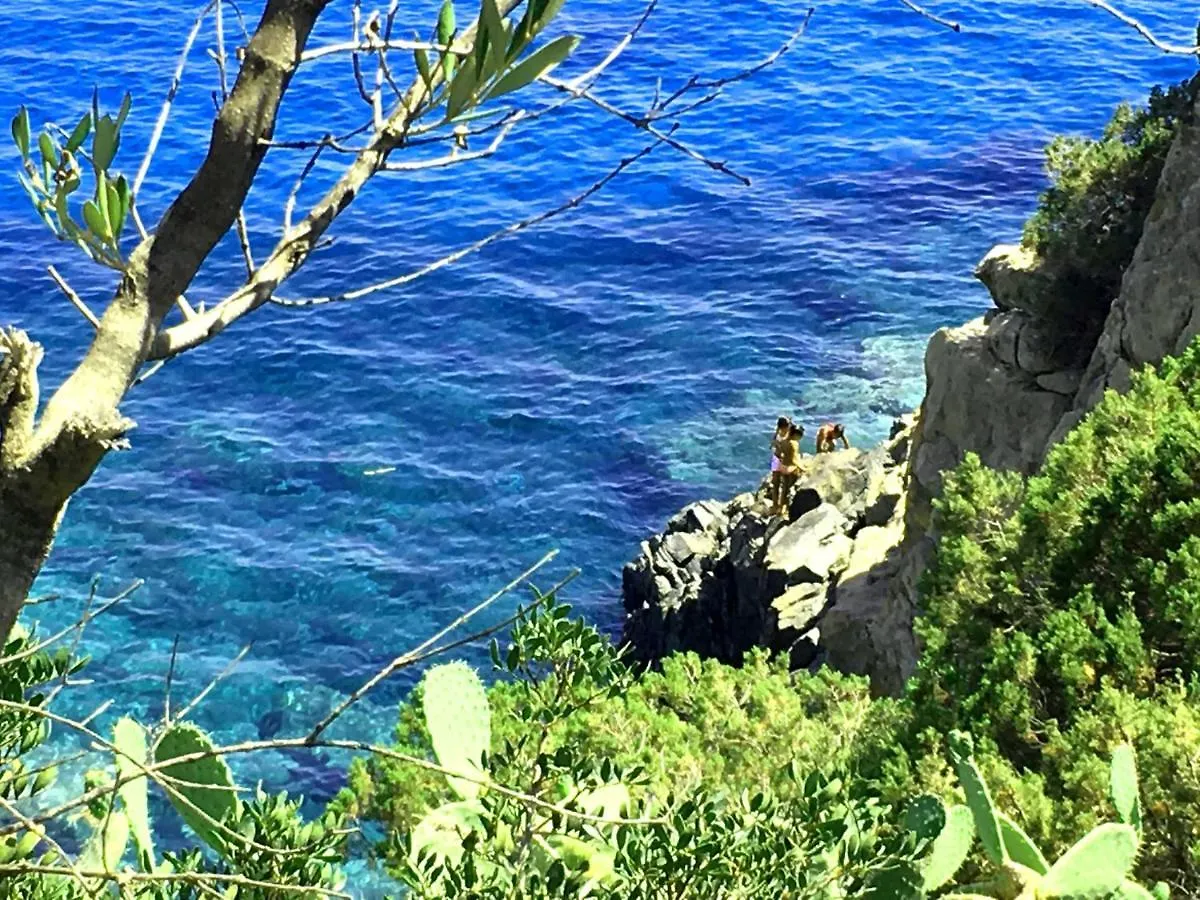 Villa Maria Francesca Near Beach Torre delle Stelle 0*,  Ιταλία